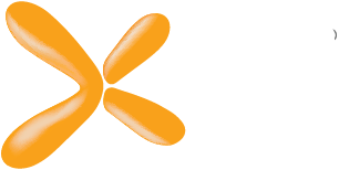 Xstreme MD logo